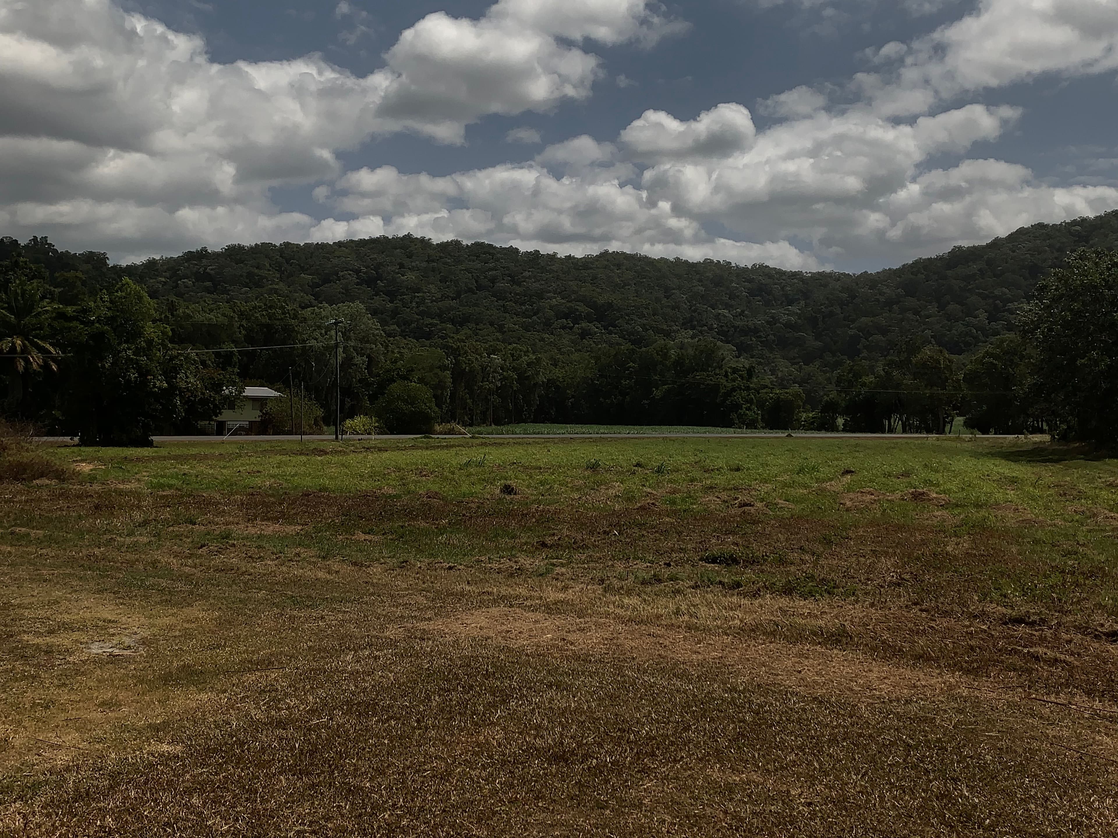 Lot 1 Mossman Daintree Road, Wonga Beach QLD 4873, Wonga Beach - Thumbnail 7