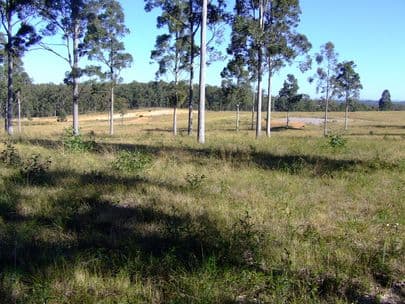 BELFORD NSW 2335, Belford - Image 1