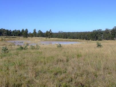 BELFORD NSW 2335, Belford - Thumbnail 2