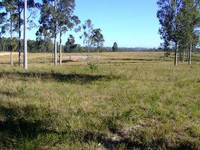 BELFORD NSW 2335, Belford - Thumbnail 3