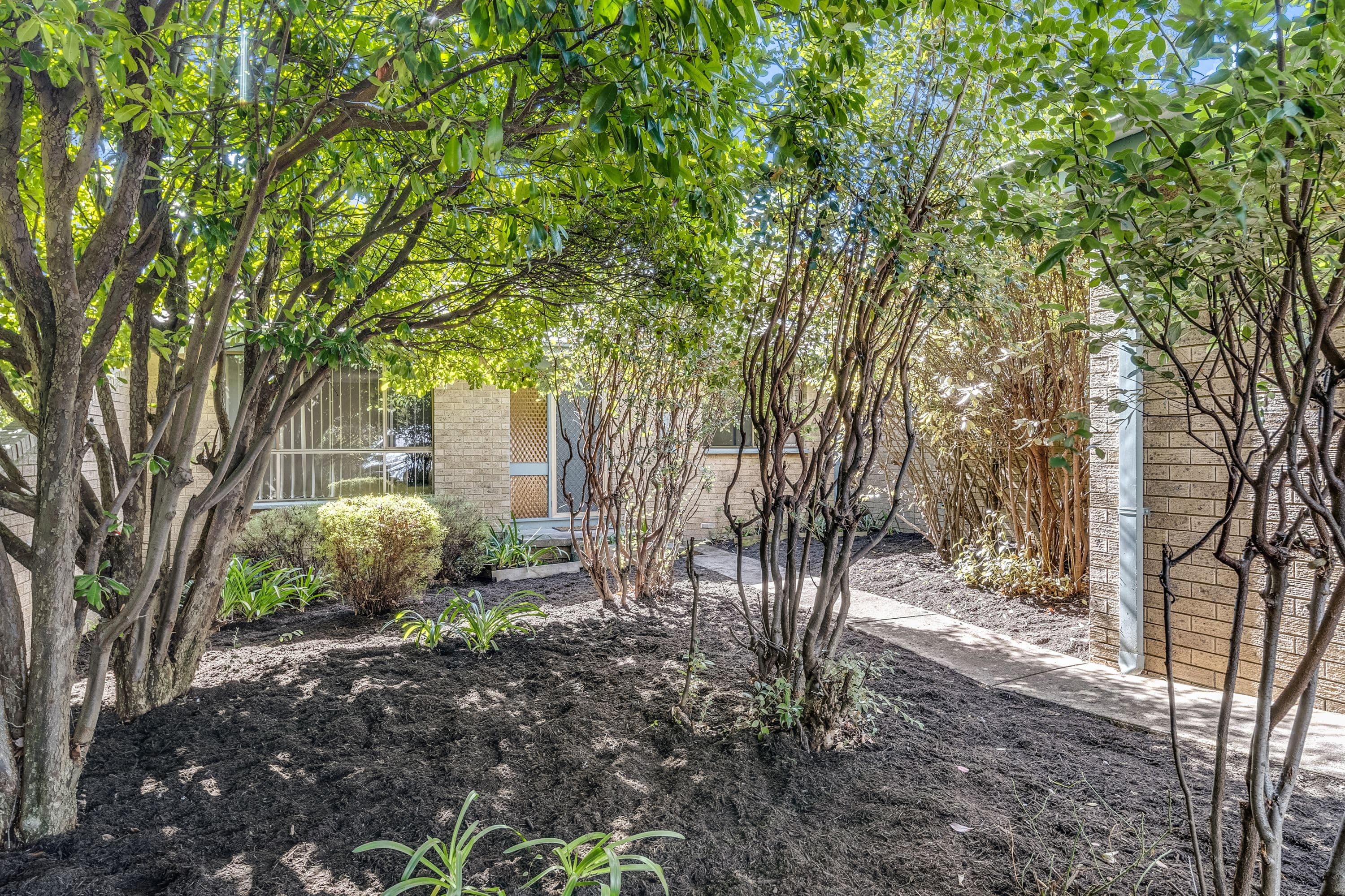 12 Dexter Street, Cook ACT 2614, Cook - Thumbnail 6