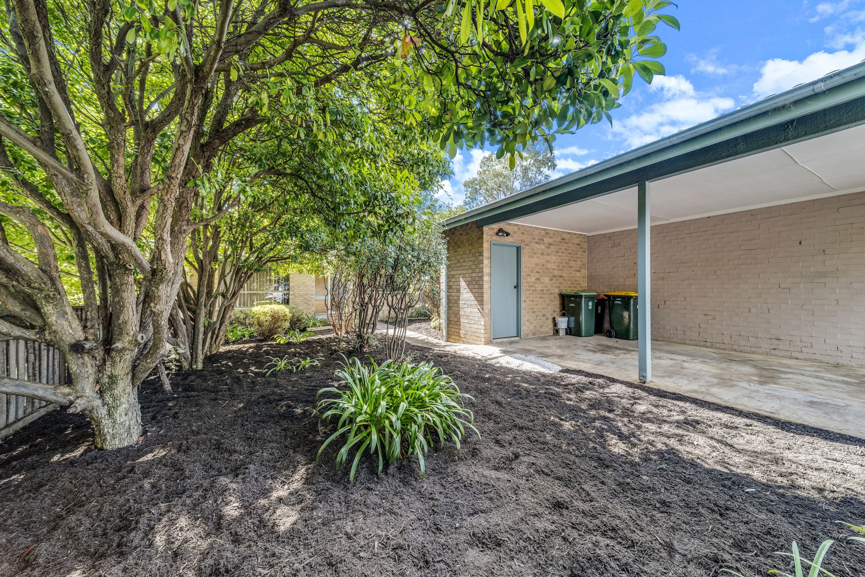 12 Dexter Street, Cook ACT 2614, Cook - Thumbnail 7