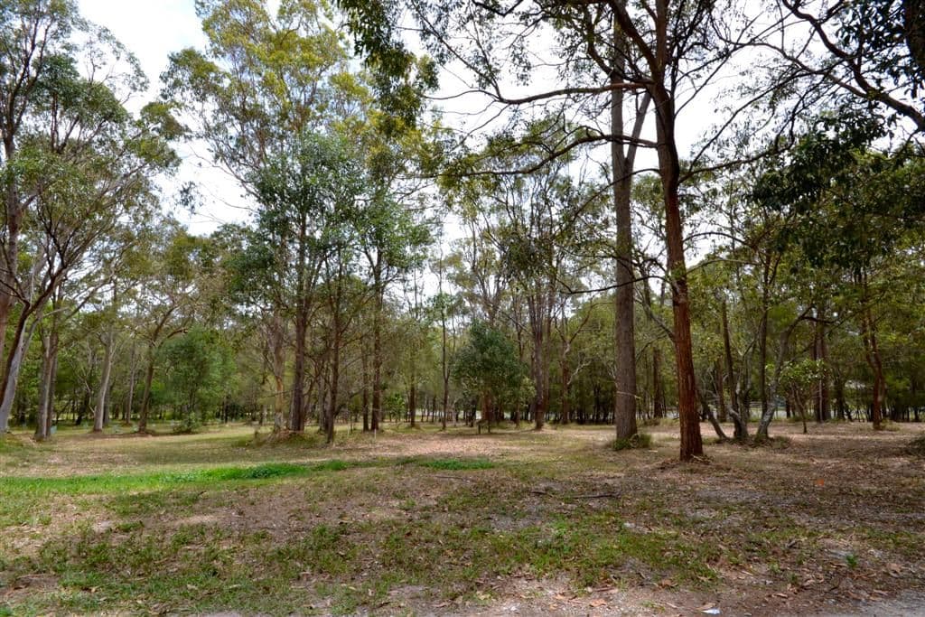61  Greenfield Road (Lot 1), CAPALABA QLD 4157, Capalaba - Thumbnail 4