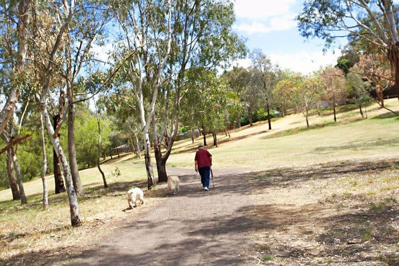 1 Berg Place, COBURG VIC 3058, Coburg - Thumbnail 4