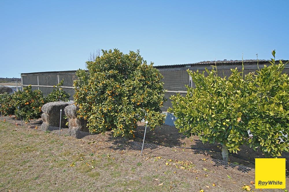 420 Cullulla Road, Tarago - Thumbnail 5