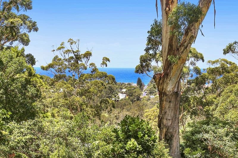 86 Bradleys Road, North Avoca NSW 2260, North Avoca - Thumbnail 3