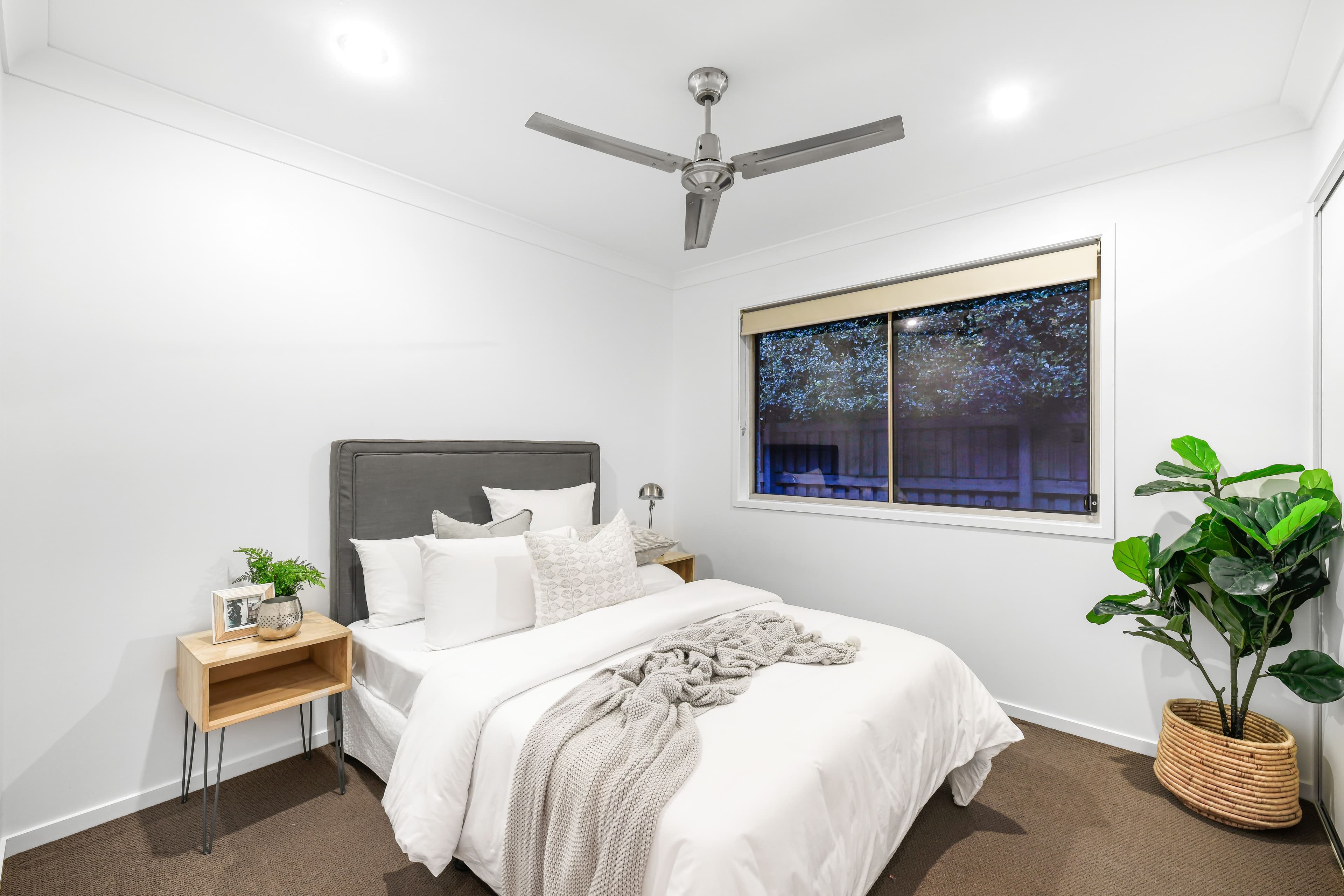 16 Feathertail Street, Bli Bli QLD 4560, Bli Bli - Thumbnail 8