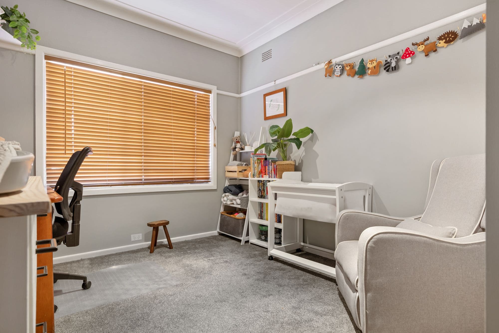 3 Lachlan Place, Campbelltown NSW 2560, Campbelltown - Thumbnail 8