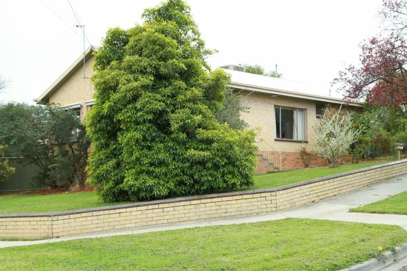13 Wirth Street, FLORA HILL VIC 3550, Flora Hill - Image 1