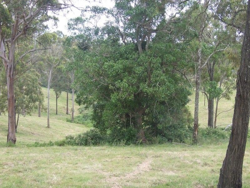 L27 Anduramba Range Road, CROWS NEST QLD 4355, Crows Nest - Thumbnail 5
