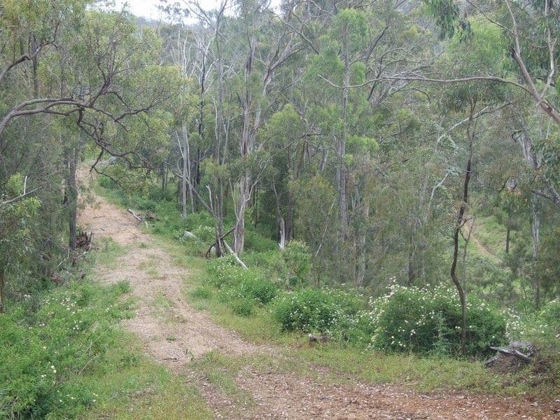 L27 Anduramba Range Road, CROWS NEST QLD 4355, Crows Nest - Thumbnail 8