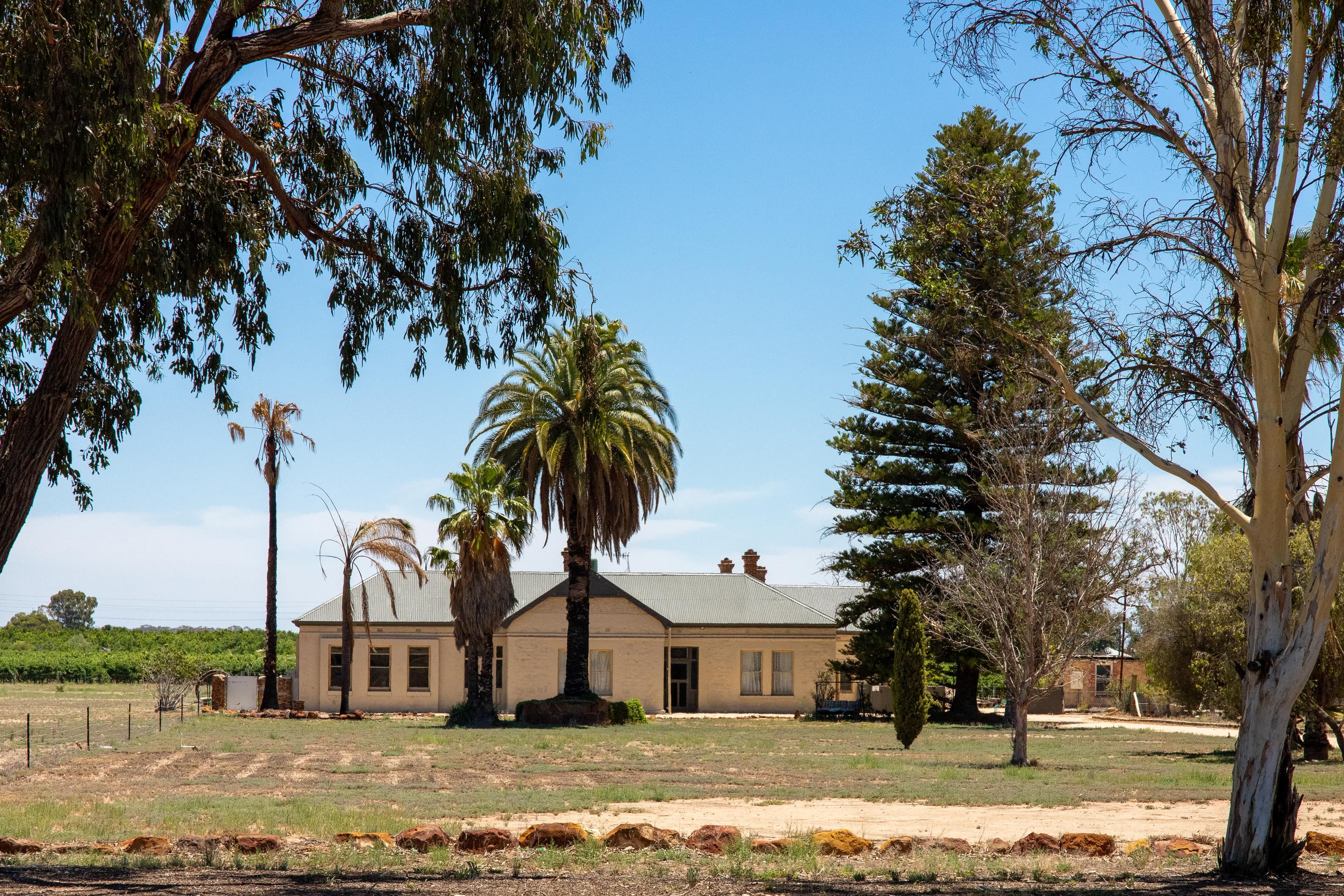 20023 Renmark Avenue, Renmark SA 5341, Renmark South - Thumbnail 2