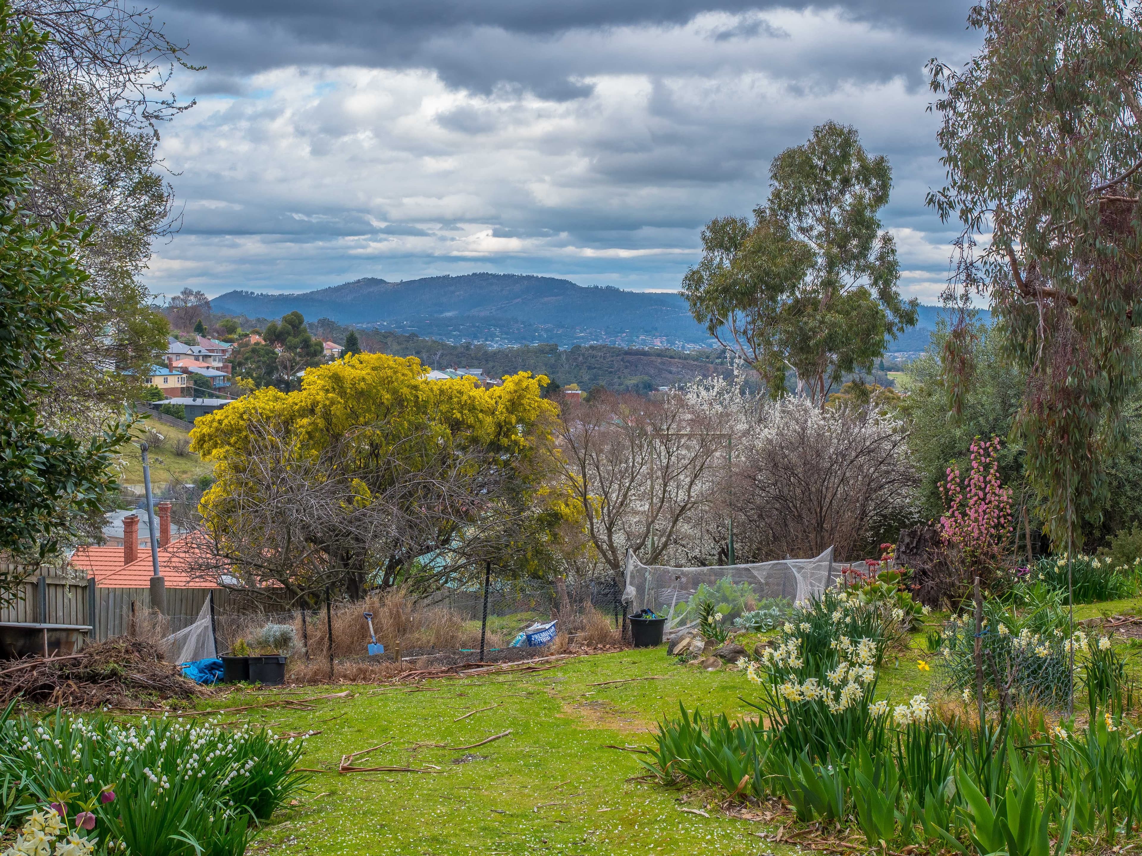 3 Hillside Crescent, West Hobart TAS 7000, West Hobart - Thumbnail 4