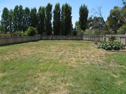34 Butmaroo Street, BUNGENDORE NSW 2621, Bungendore - Thumbnail 8