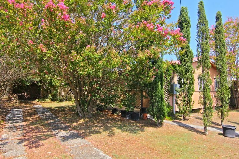 17 Dilgara Avenue, DAVISTOWN NSW 2251, Davistown - Thumbnail 7