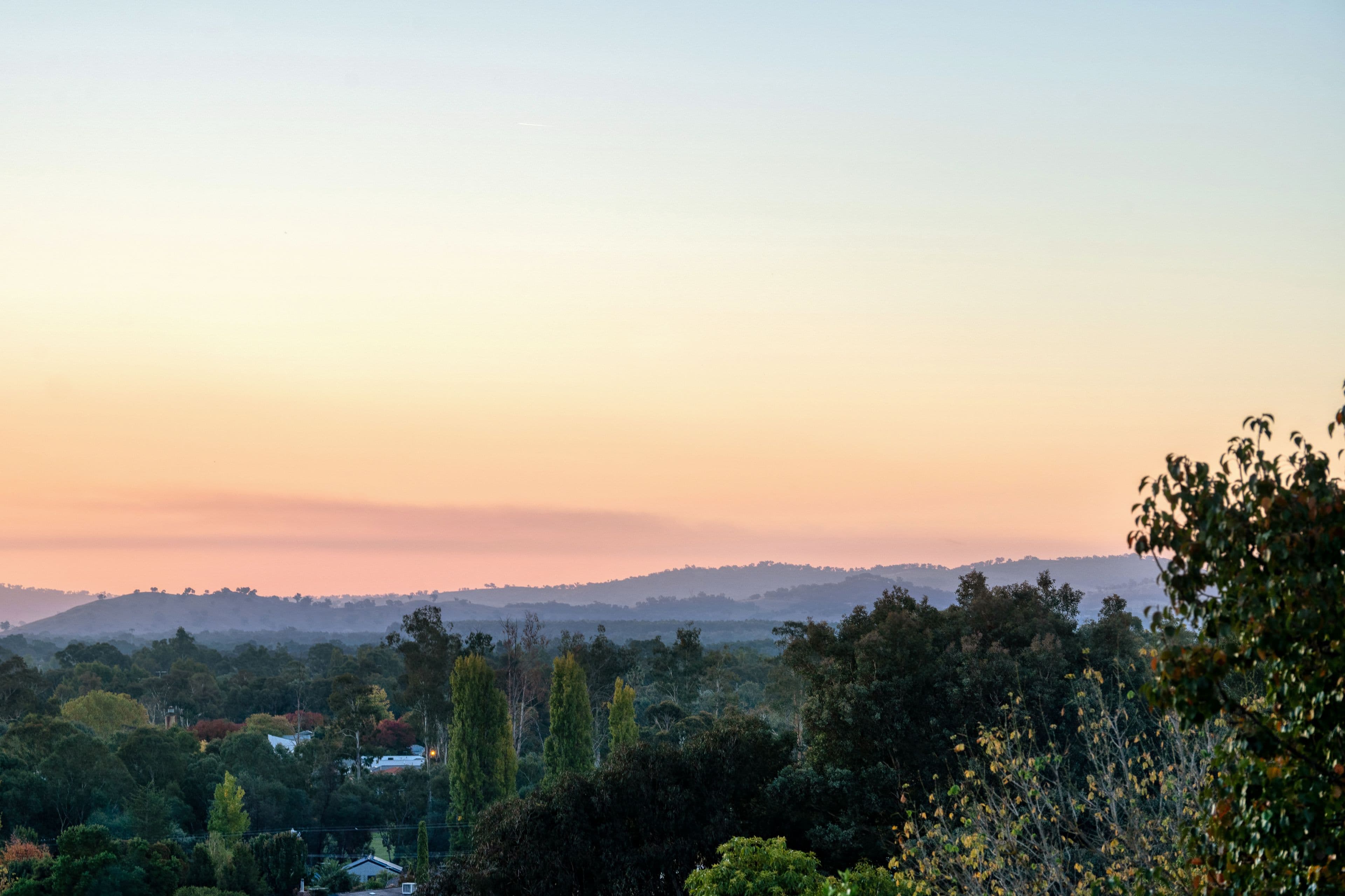 3 All Saints Court, Wodonga VIC 3690, Wodonga - Thumbnail 3