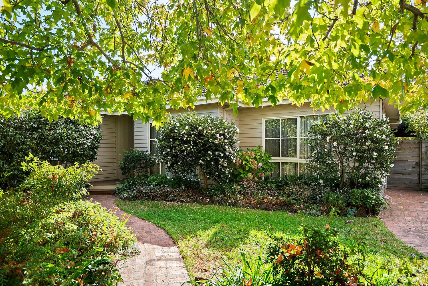 31 Voltri Street, Cheltenham VIC 3192, Cheltenham - Image 1
