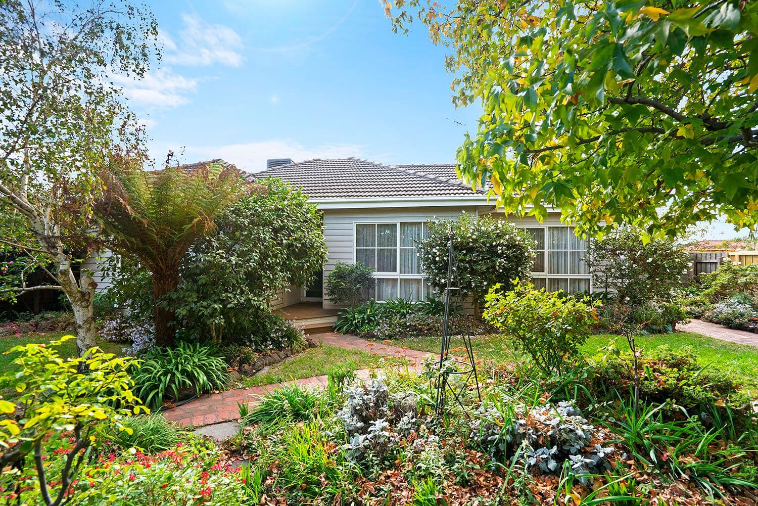 31 Voltri Street, Cheltenham VIC 3192, Cheltenham - Thumbnail 2