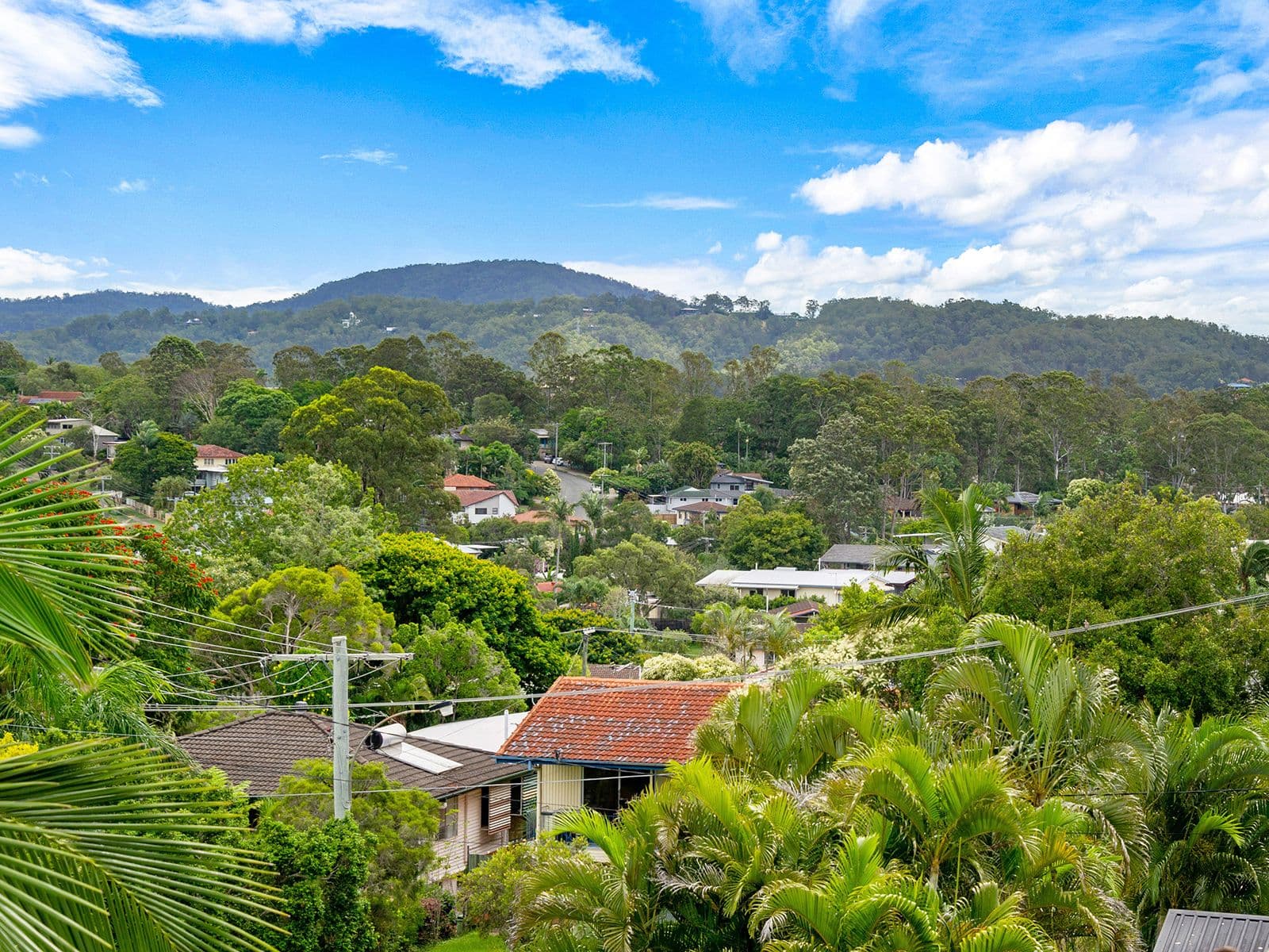 22 Ardisia Street, Arana Hills QLD 4054, Arana Hills - Thumbnail 3