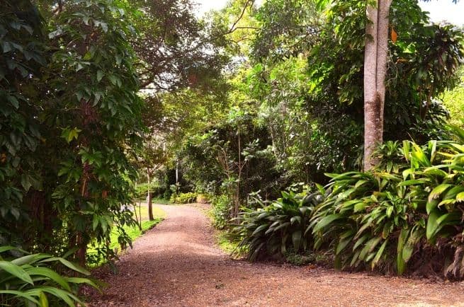 137 Camm Road, MOUNT JULIAN QLD 4800, Mount Julian - Thumbnail 4