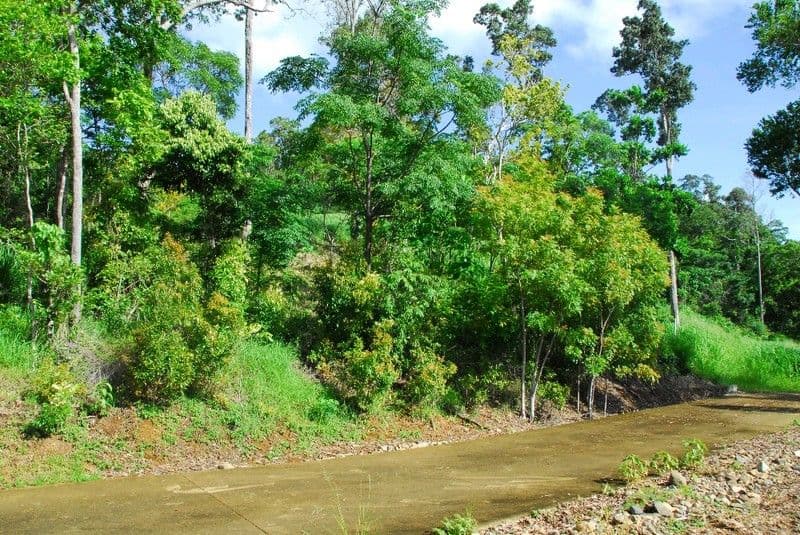Lot 43 Botanica Drive, CANNONVALE QLD 4802, Cannonvale - Thumbnail 3