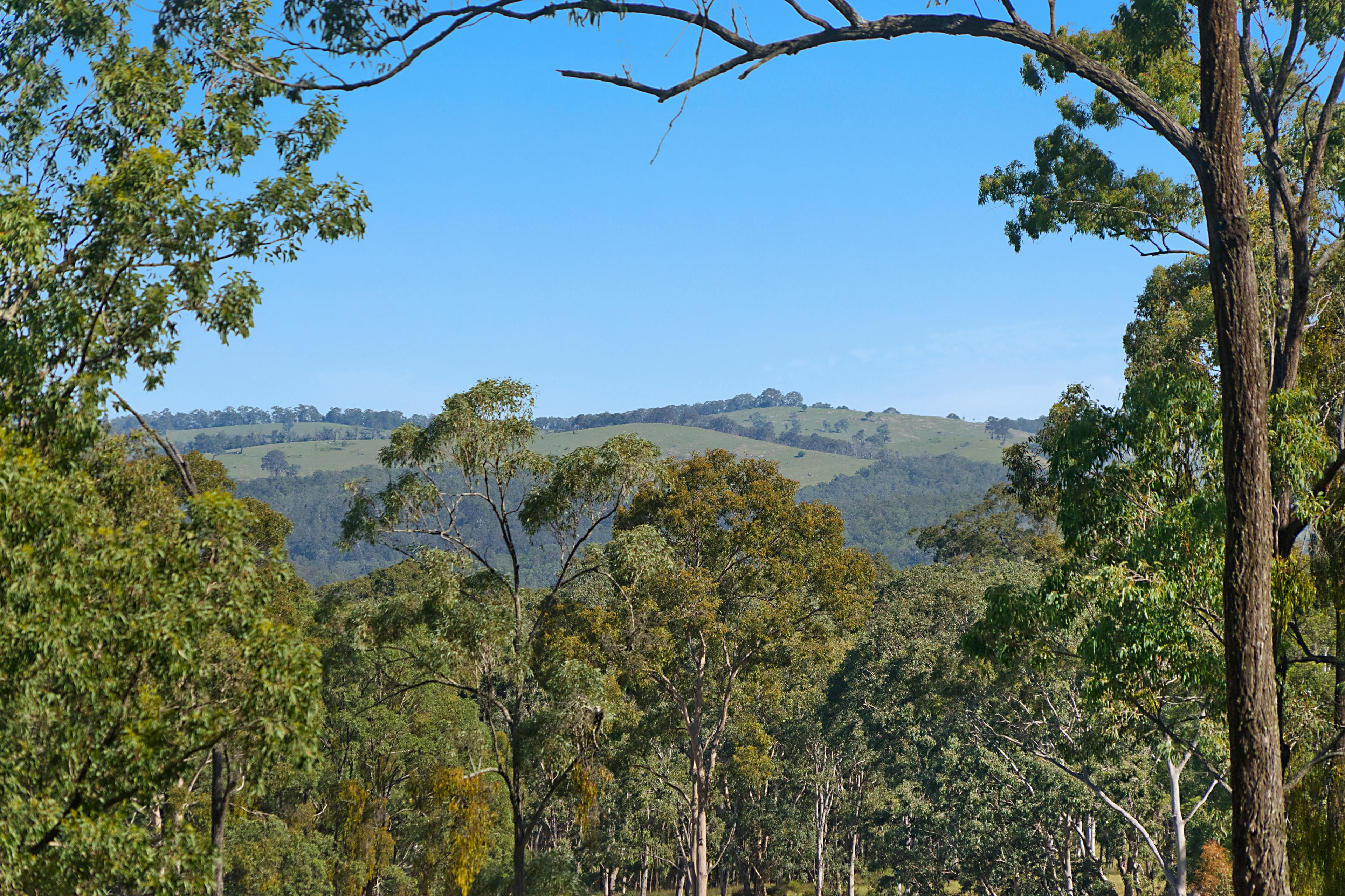 158 Boulton Drive, Paterson NSW 2421, Paterson - Thumbnail 5