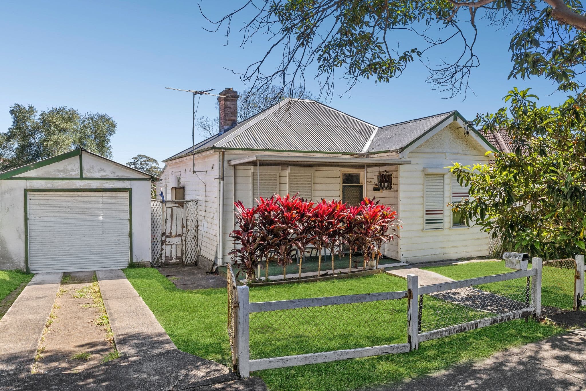 50 Hillard Street, Wiley Park NSW 2195, Wiley Park - Image 1