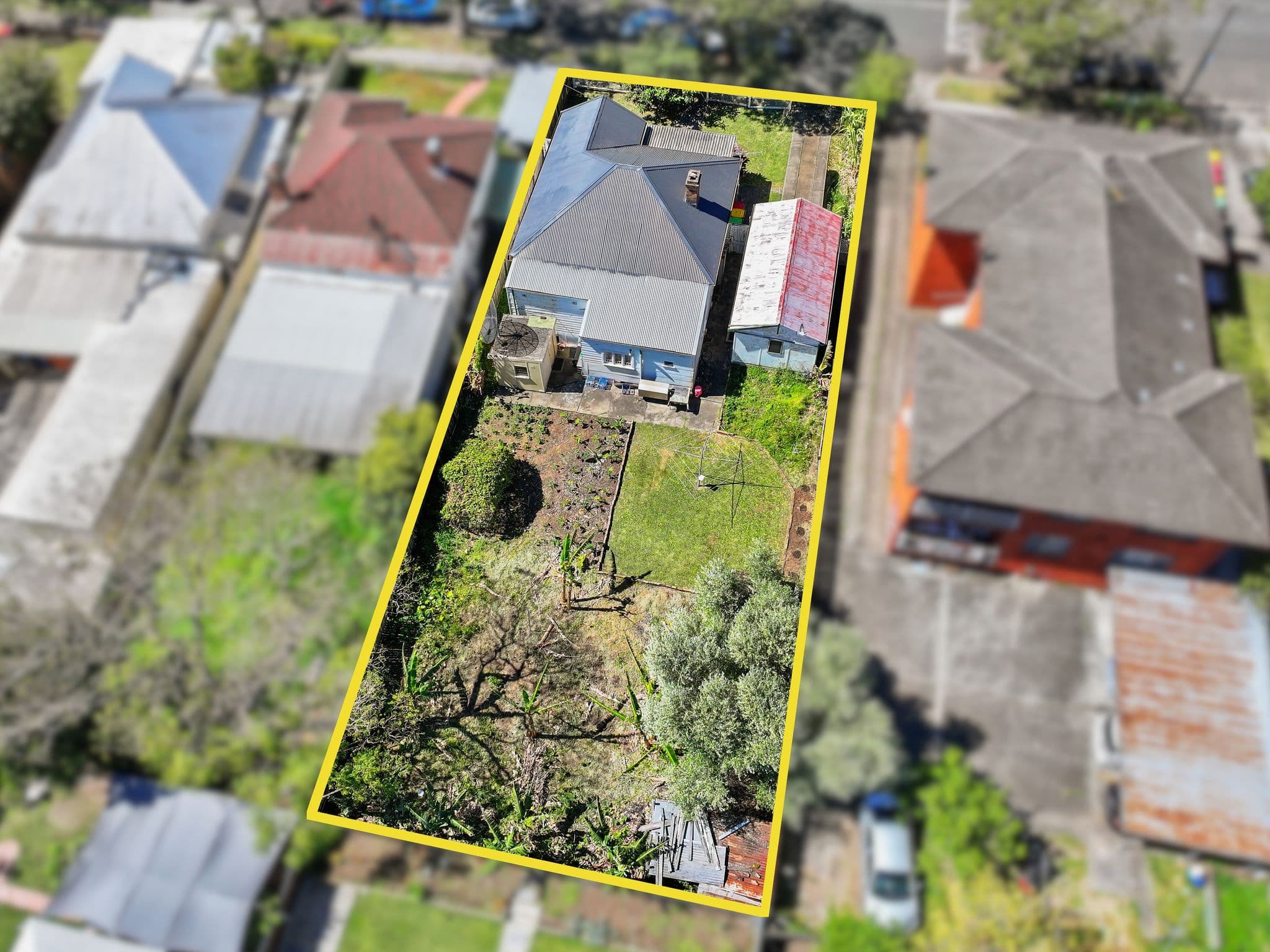 50 Hillard Street, Wiley Park NSW 2195, Wiley Park - Thumbnail 7