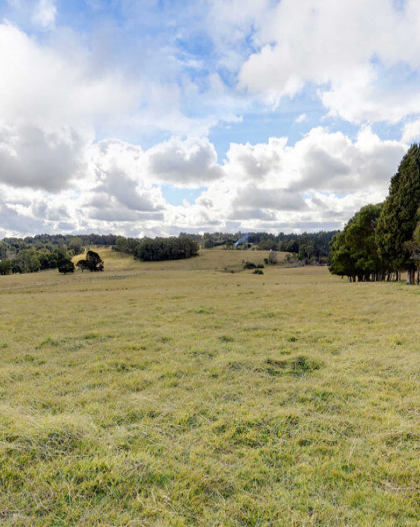 Lot 12 Ringwood Lane Exeter, Exeter - Thumbnail 4