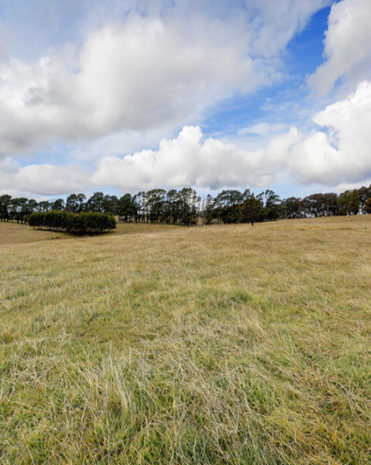 Lot 12 Ringwood Lane Exeter, Exeter - Thumbnail 5