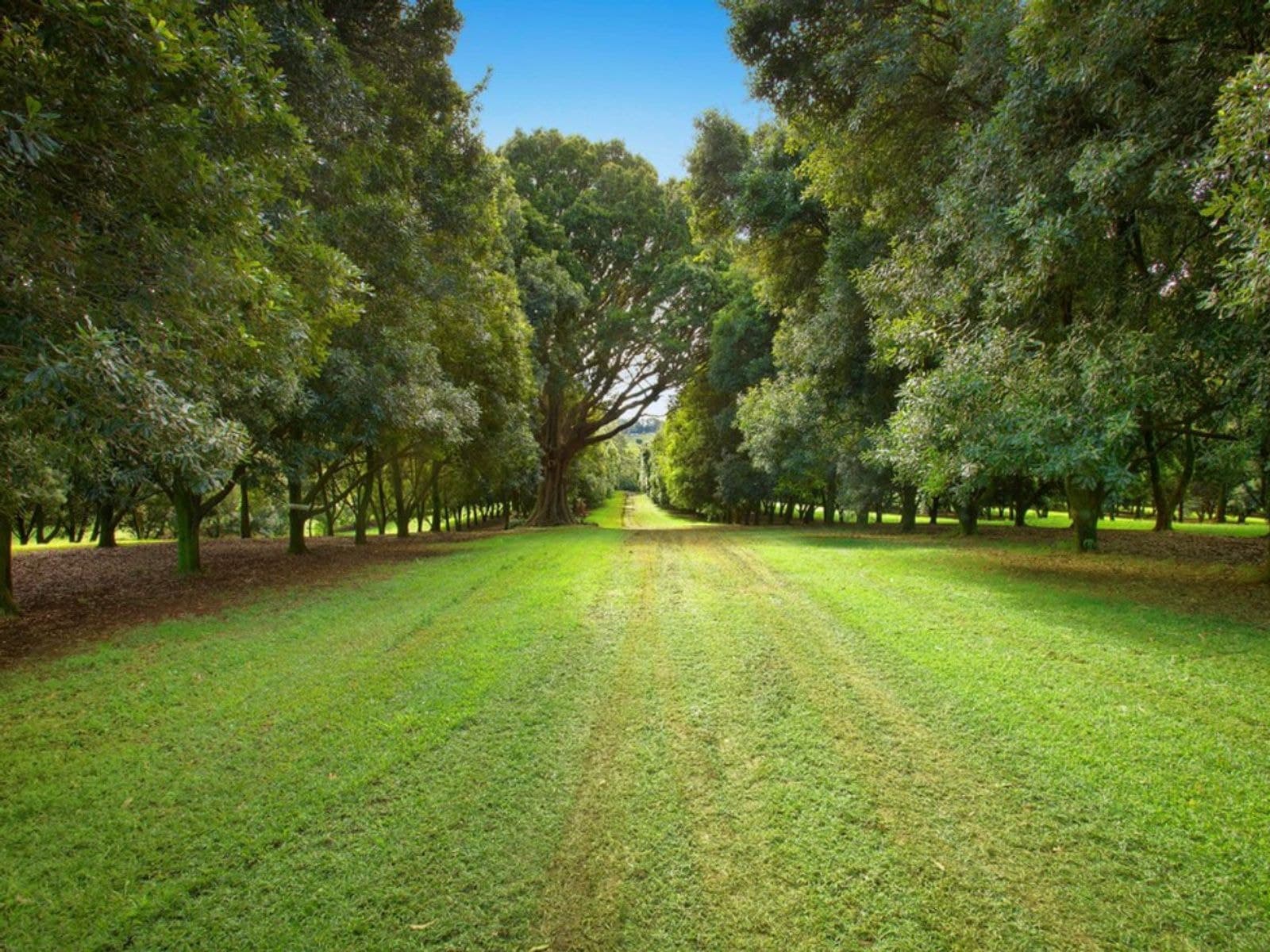 10 Kirklands Lane, Fernleigh - Thumbnail 8
