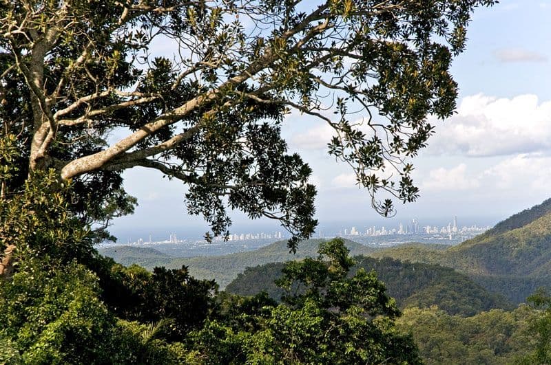 MOUNT TAMBORINE QLD 4272, Tamborine Mountain - Thumbnail 2