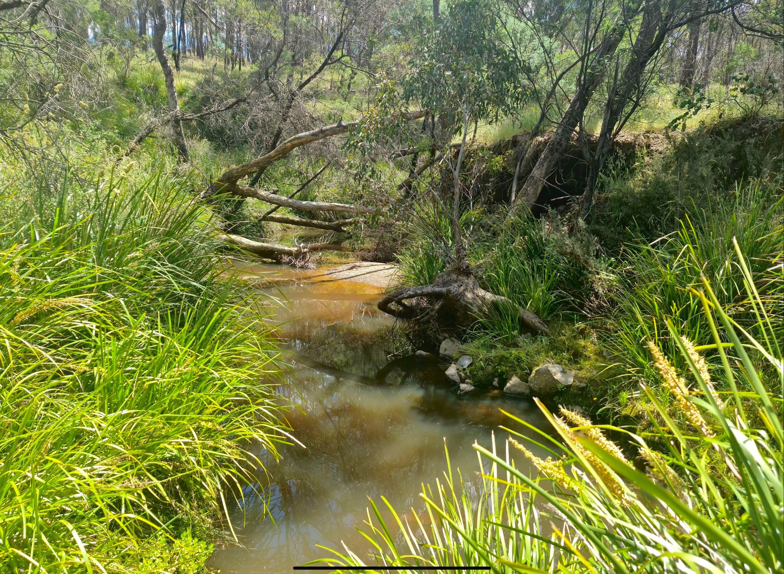 244 Beralston Road, Gundaroo NSW 2620, Gundaroo - Image 1
