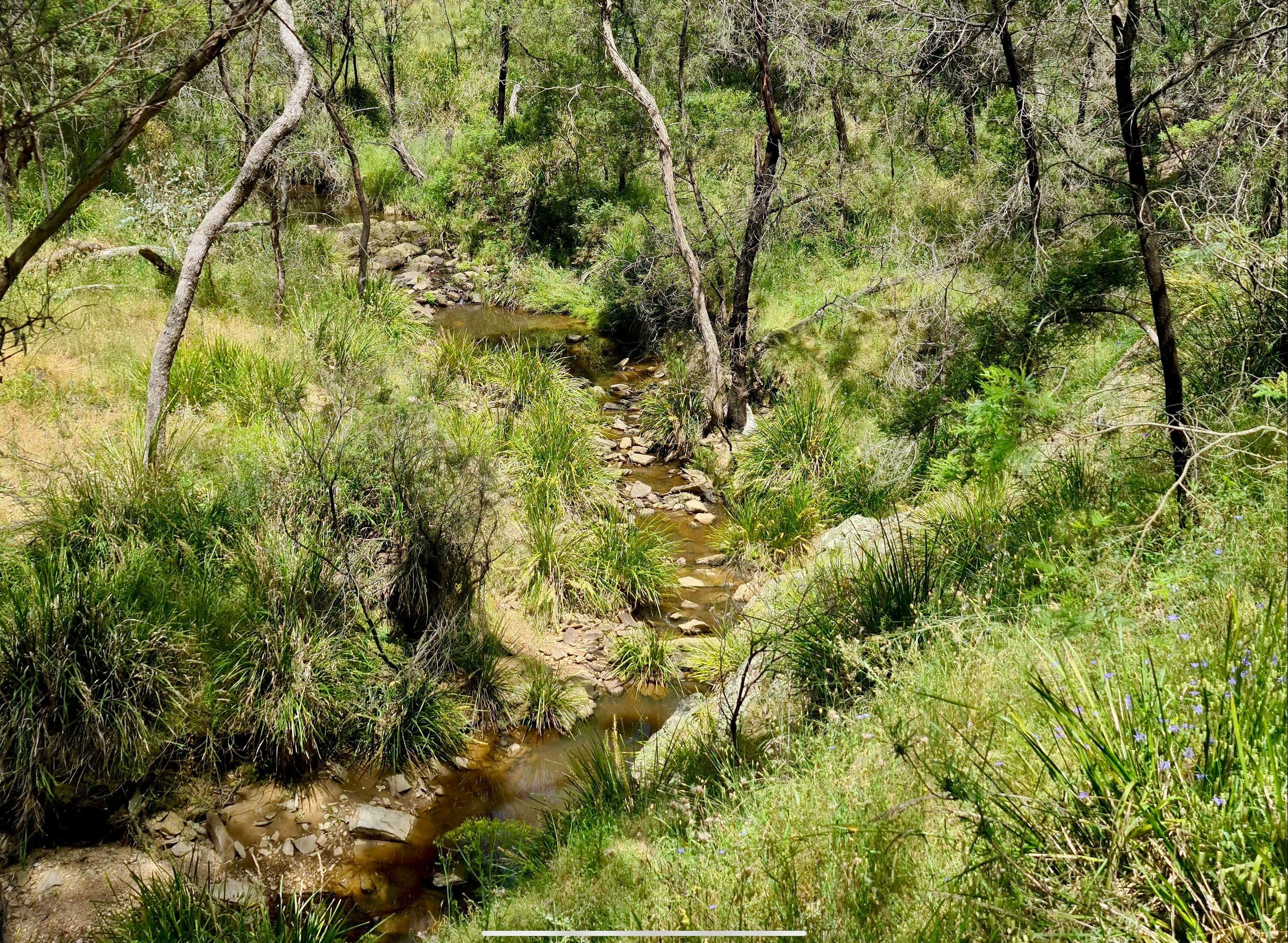 244 Beralston Road, Gundaroo NSW 2620, Gundaroo - Thumbnail 3