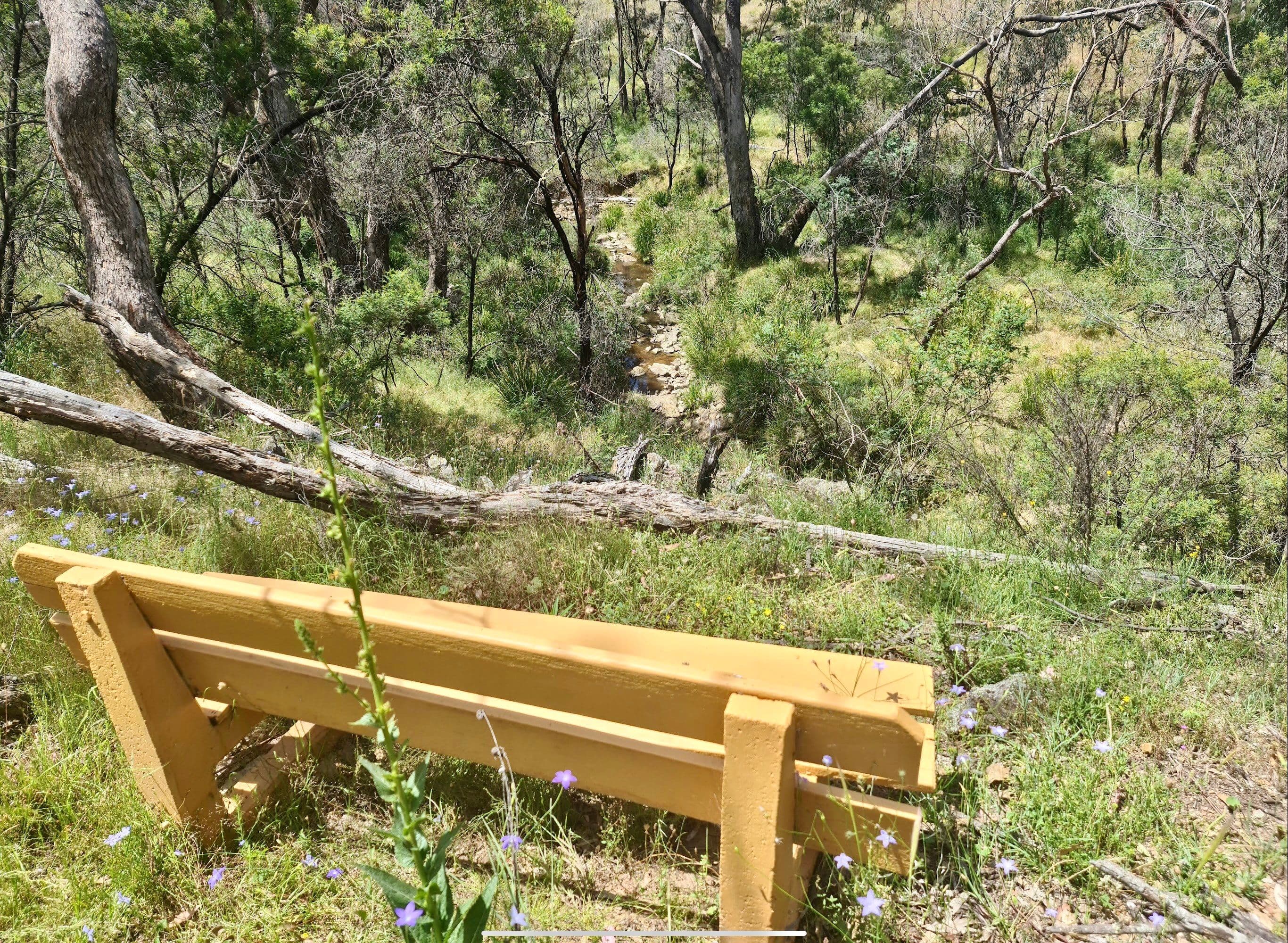 244 Beralston Road, Gundaroo NSW 2620, Gundaroo - Thumbnail 4
