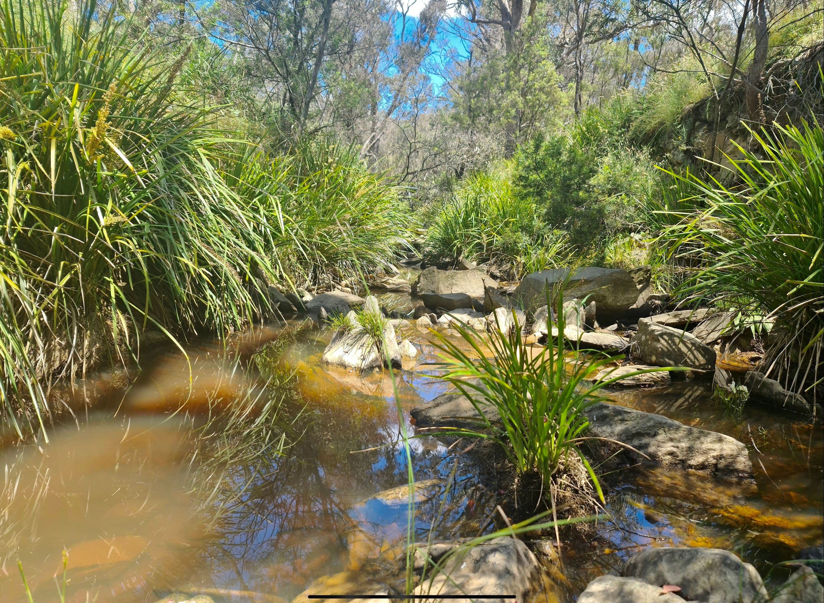 244 Beralston Road, Gundaroo NSW 2620, Gundaroo - Thumbnail 5