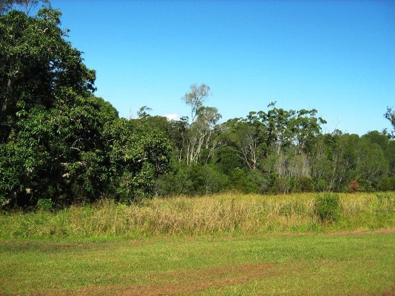 13 The Glen, MACLEAN NSW 2463, Maclean - Thumbnail 5