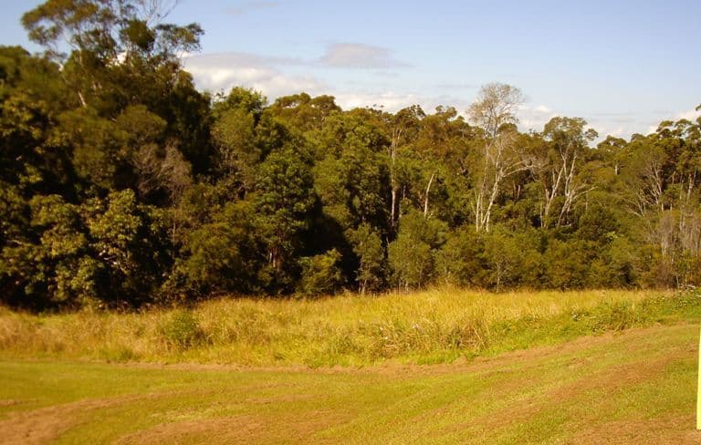 13 The Glen, MACLEAN NSW 2463, Maclean - Thumbnail 8
