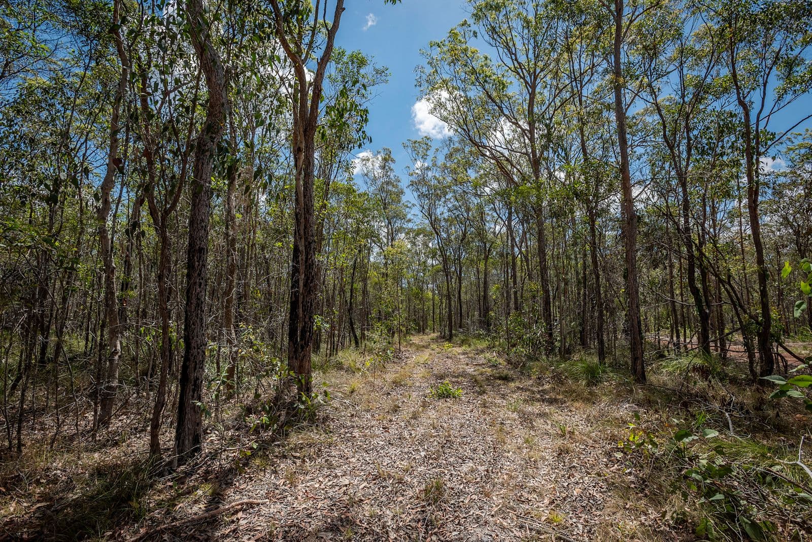 2378 Goodwood Road, Goodwood QLD 4660, Goodwood - Thumbnail 3