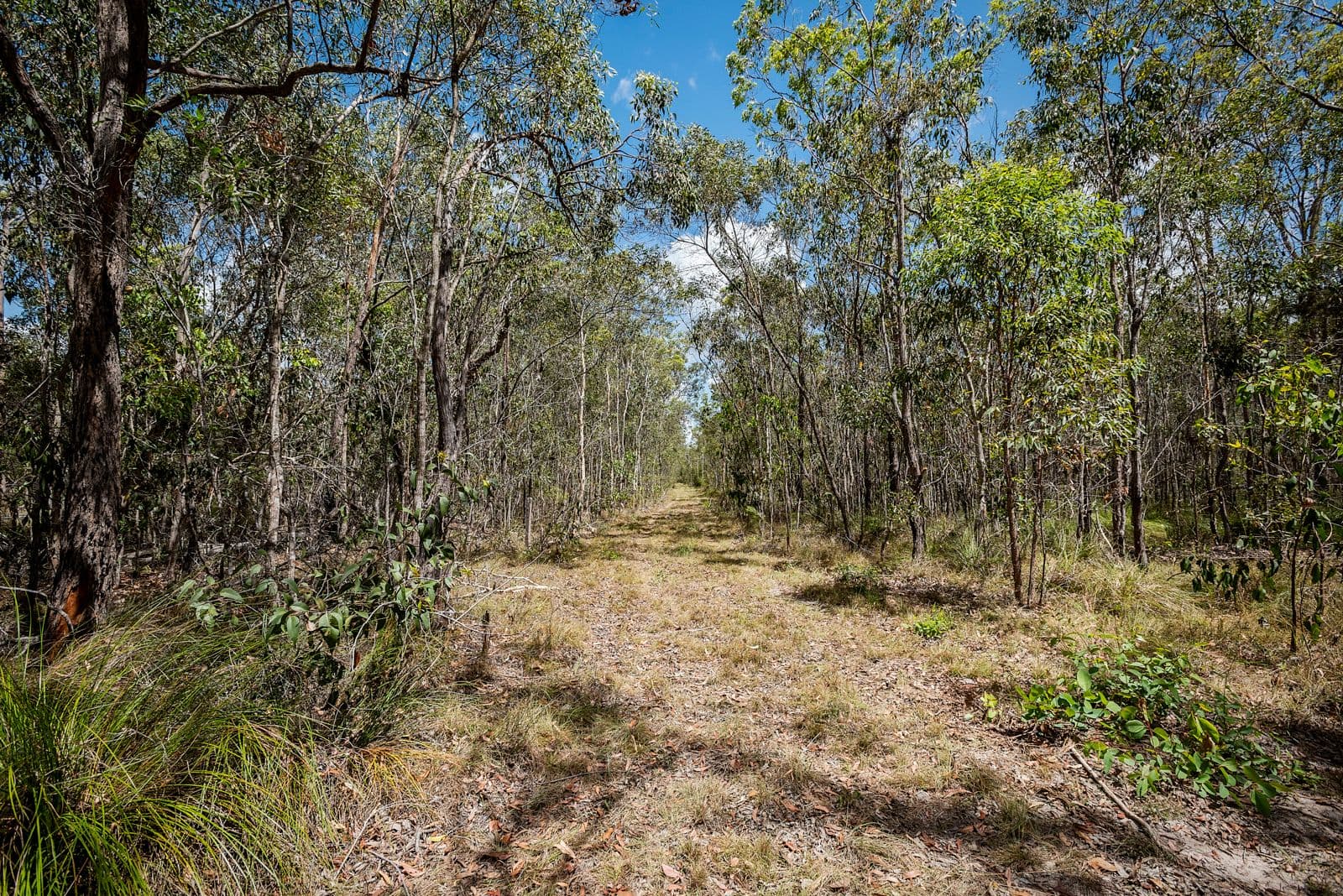 2378 Goodwood Road, Goodwood QLD 4660, Goodwood - Thumbnail 5