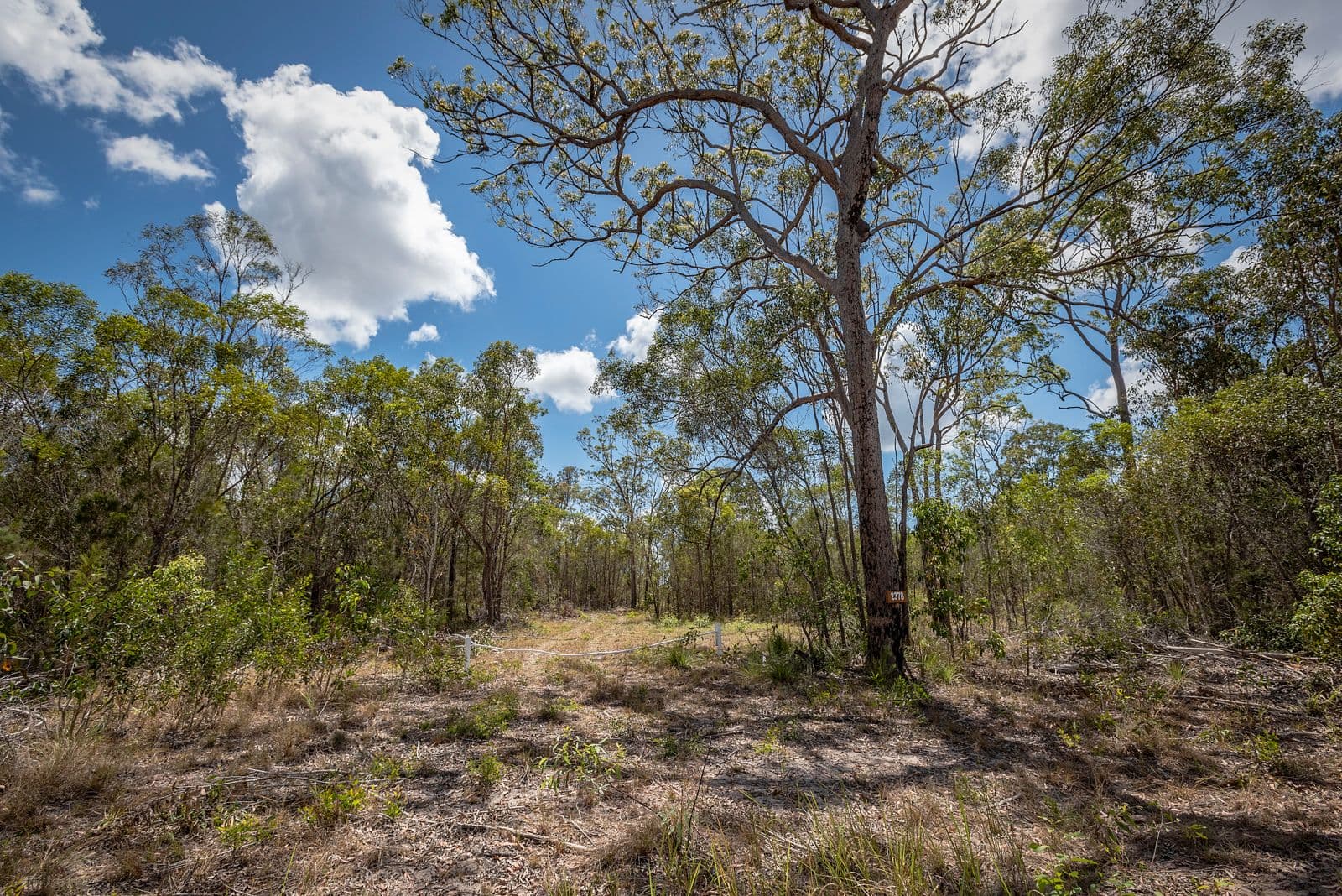 2378 Goodwood Road, Goodwood QLD 4660, Goodwood - Thumbnail 7