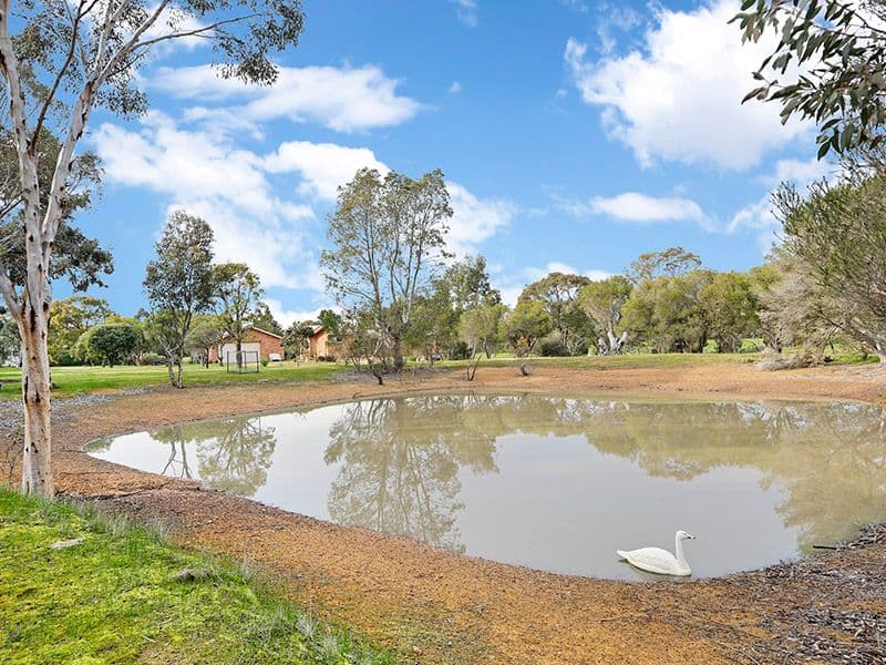 9 Bell Court, Teesdale VIC 3328, Teesdale - Thumbnail 3