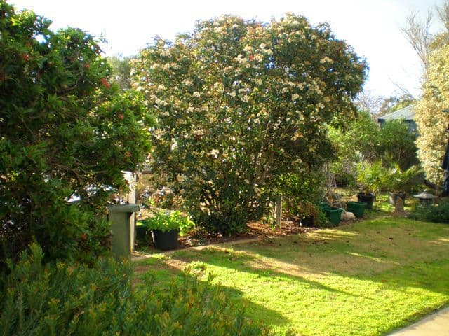 170 Stewart Street, Bathurst NSW 2795, Bathurst - Thumbnail 6