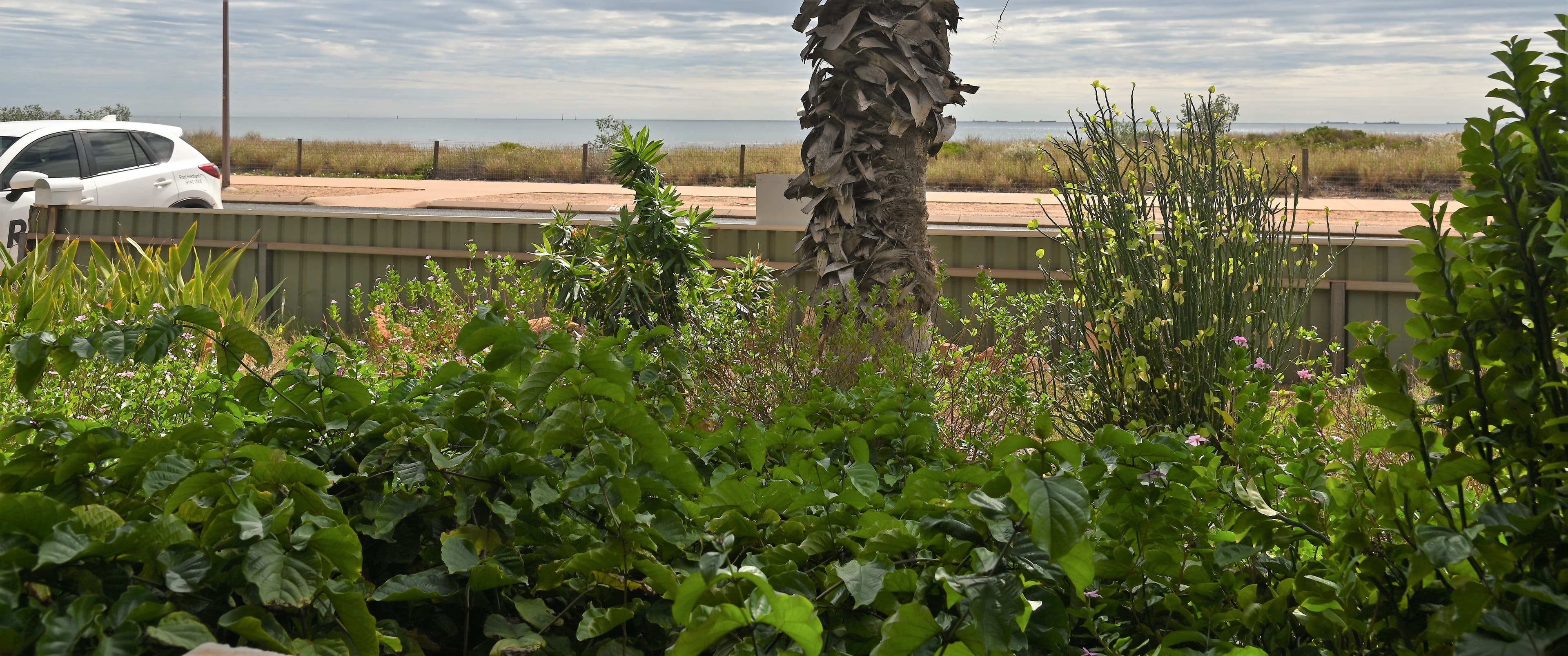 114 Sutherland Street, Port Hedland WA 6721, Port Hedland - Thumbnail 3