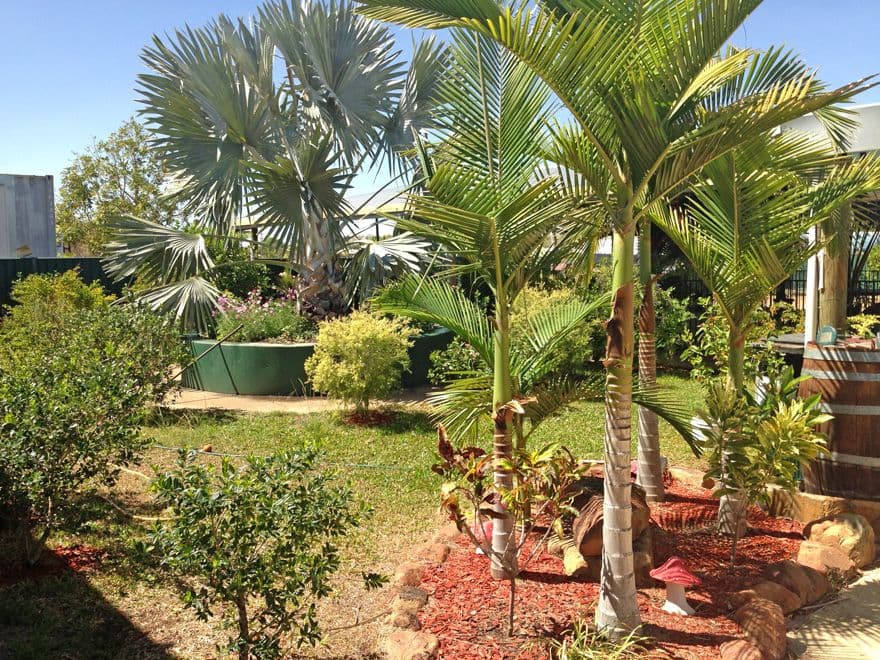 Croydon QLD 4871, Croydon - Thumbnail 2