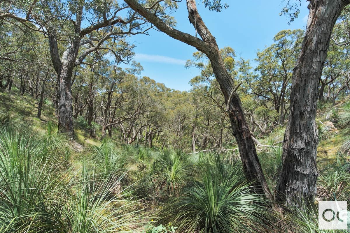 Range Road West, Willunga South - Thumbnail 4