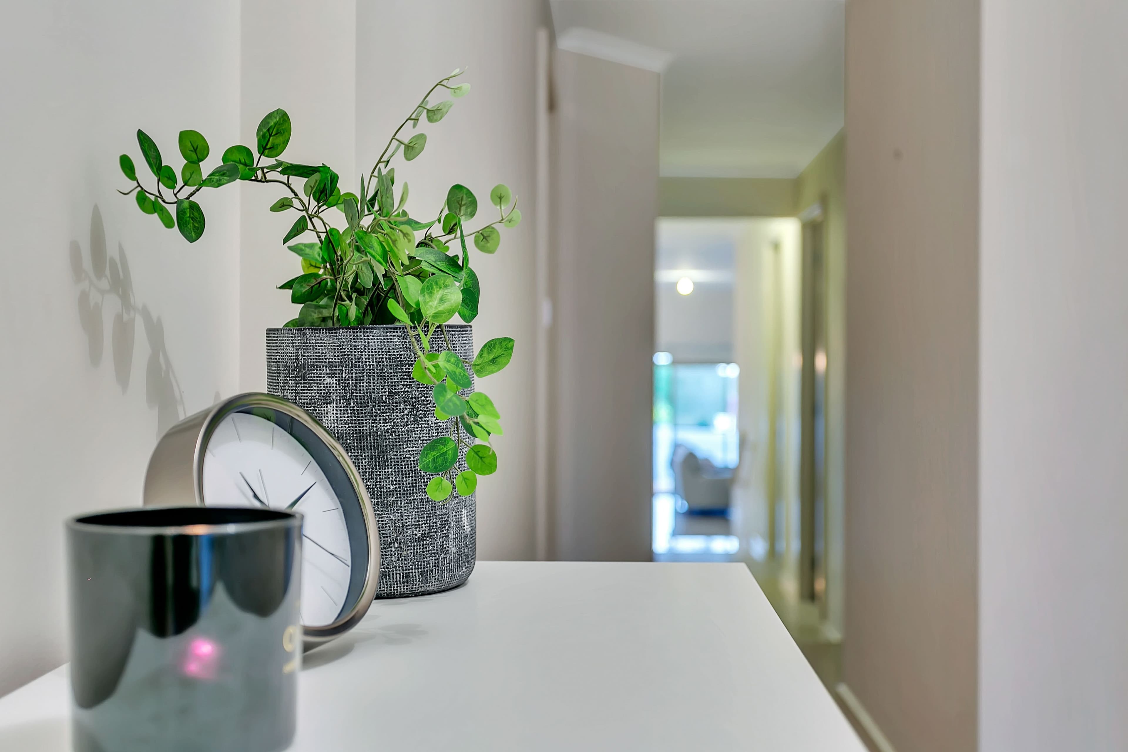 11 Park Terrace, Enfield SA 5085, Enfield - Thumbnail 3