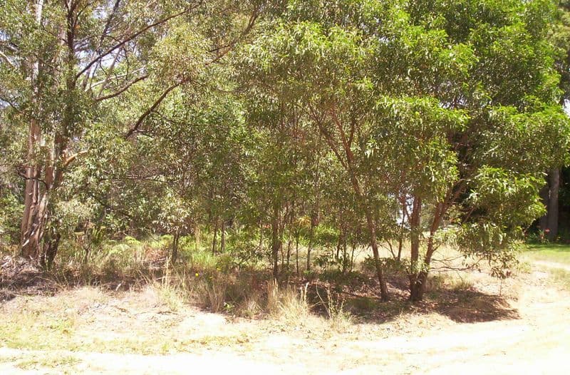 79 Harvey, RUSSELL ISLAND QLD 4184, Russell Island - Image 1