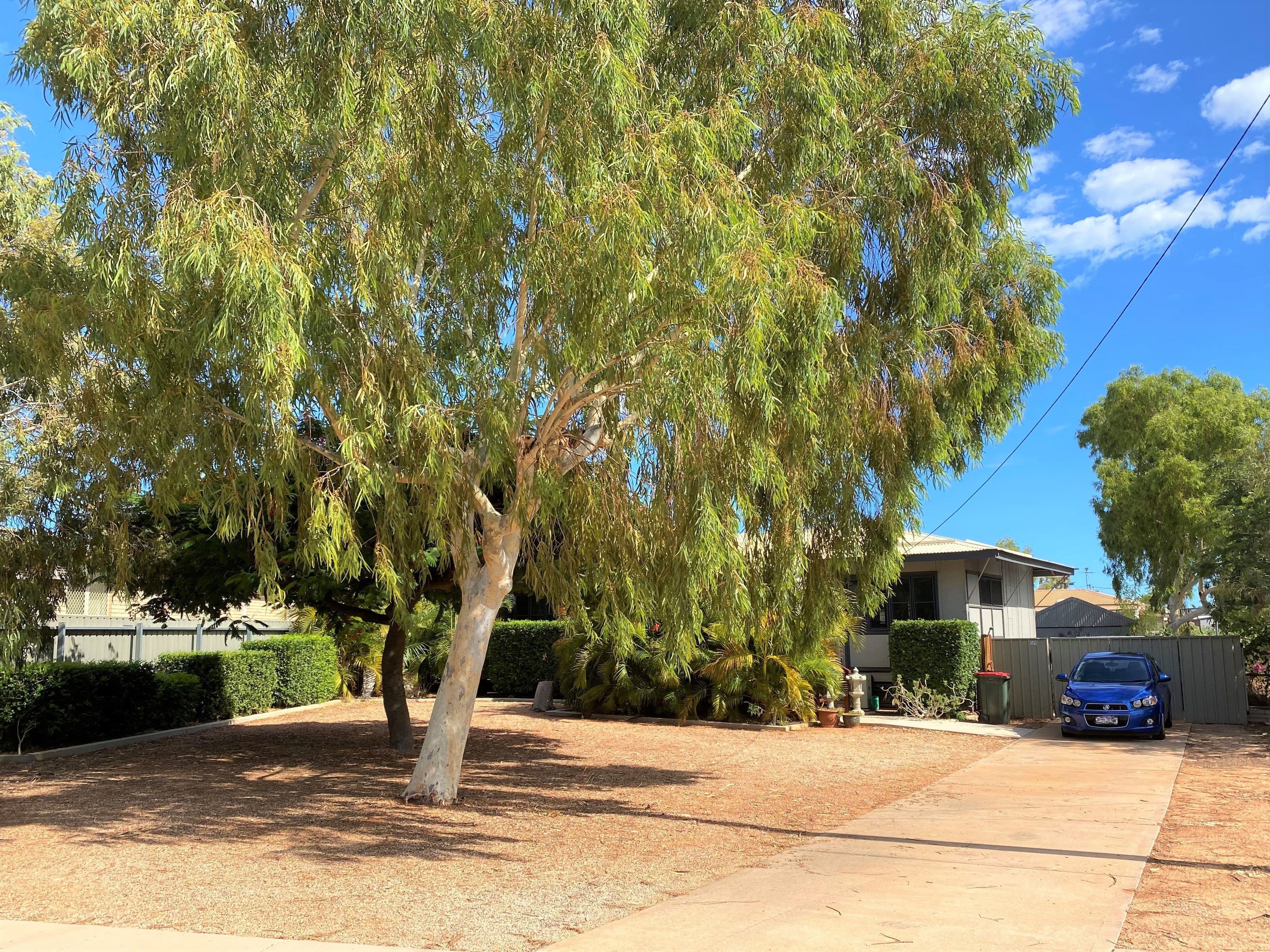 59 Nimitz Street, Exmouth WA 6707, Exmouth - Image 1
