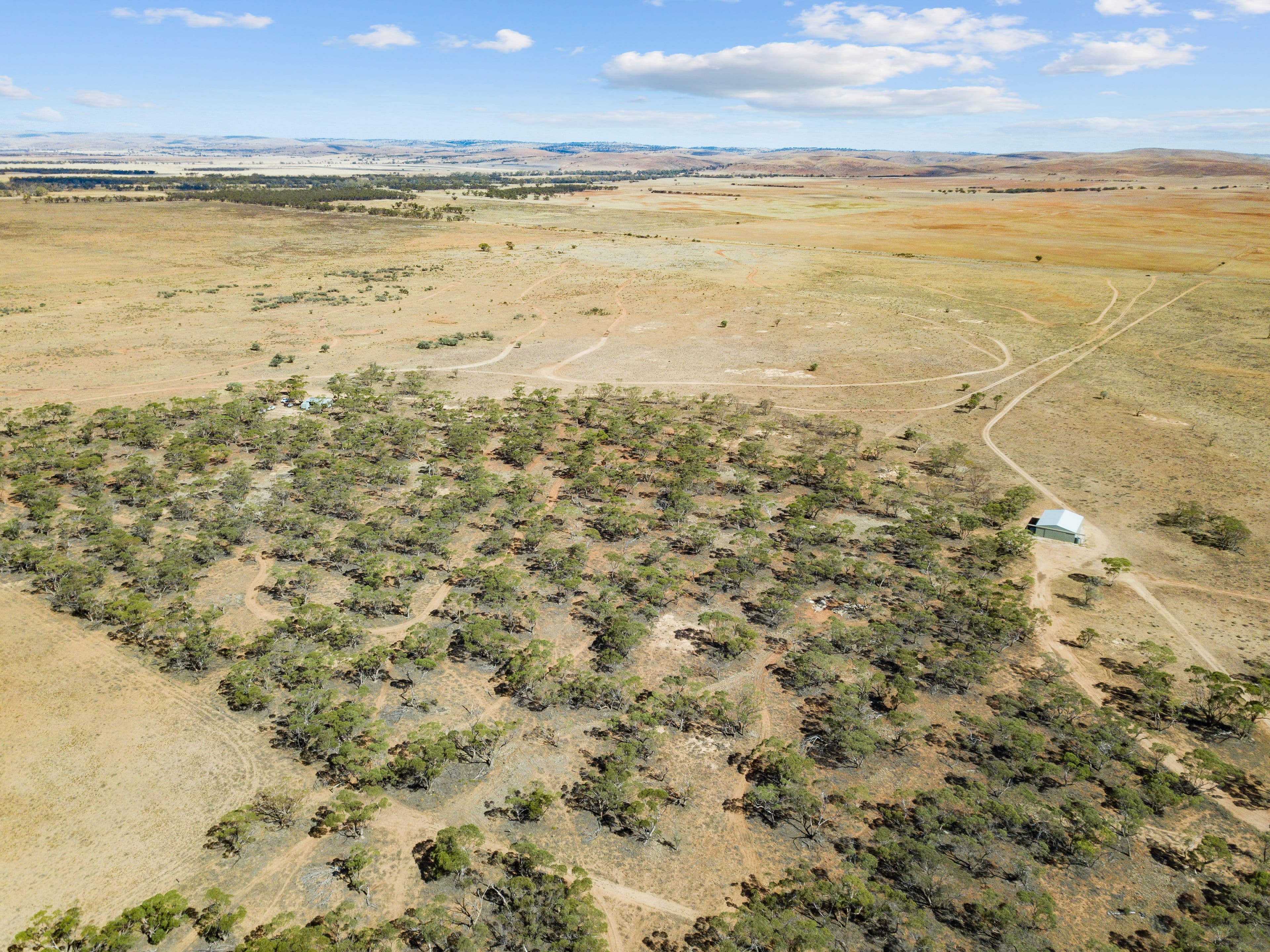 Lot 113 Three Chain Road, Truro SA 5356, Truro - Thumbnail 3